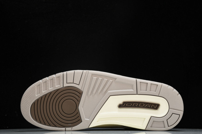 Air Jordan 3 "Palomino" CT8532-102