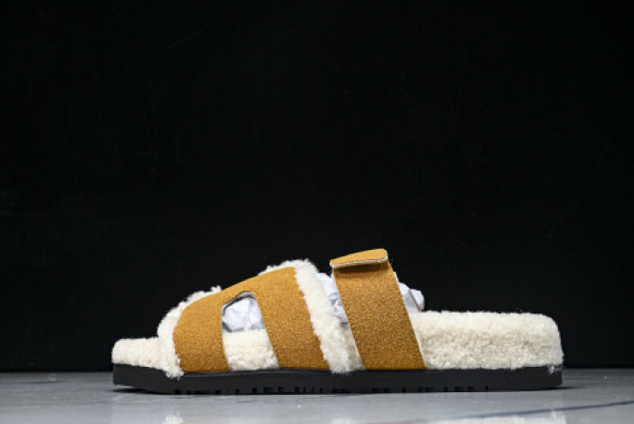 H*RMES  SLIDS   HM-51