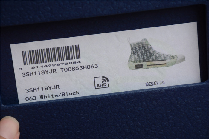 D10R B23 High Top Logo Oblique Sneakers