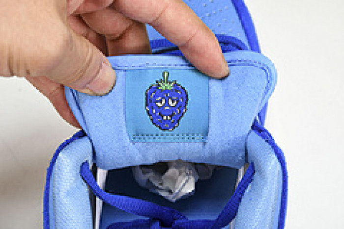 Nike Dunk Low  Pro“Blue Raspberry DM0807-400