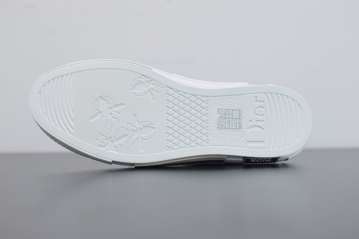 D10R B23 Oblique Low Top Sneakers L00N4